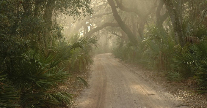 Real life battle royale