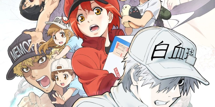 Cells at Work! Has a New Game in Development